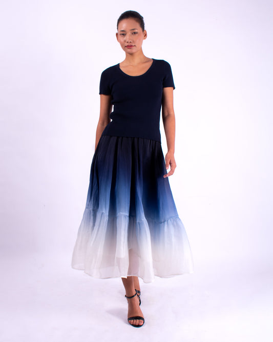 #1267 8 panel skirt in silk organza