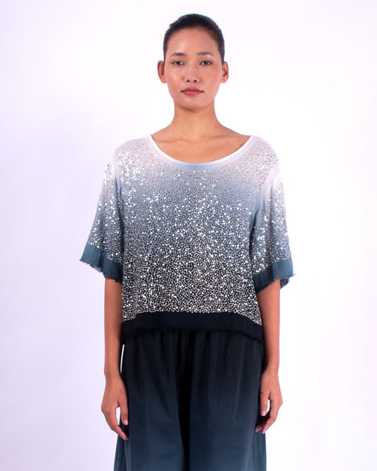 #1292 Cropped boatneck top in cotton mesh and metal sequins
