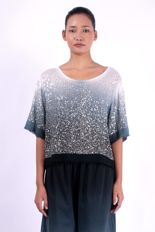 #1291 Cropped boatneck top in cotton mesh and metal sequins