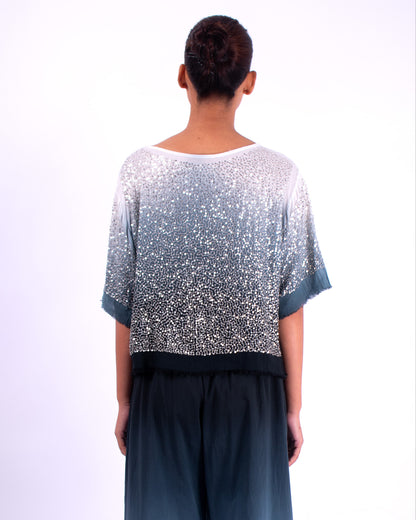 #1292 Cropped boatneck top in cotton mesh and metal sequins
