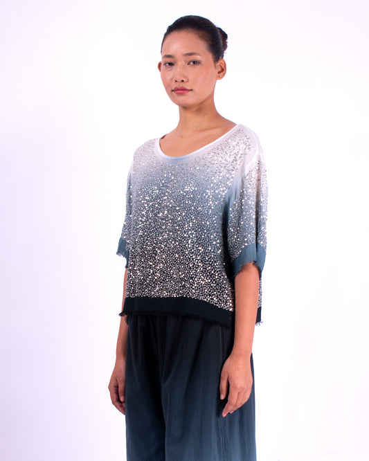 #1292 Cropped boatneck top in cotton mesh and metal sequins