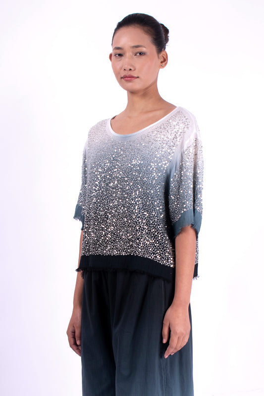 #1291 Cropped boatneck top in cotton mesh and metal sequins